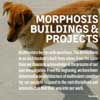 Morphosis Monograph