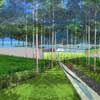 Singapore Gardens design by Gustafson Porter Landscape Architects
