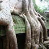 Ta Prohm