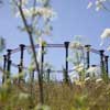 King's Cross Gasholder