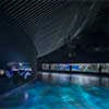The Blue Planet Aquarium Copenhagen