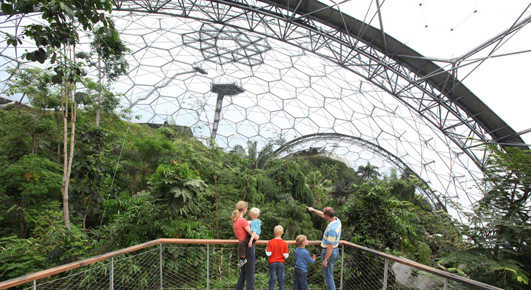 Eden Project Rainforest Aerial Walkway