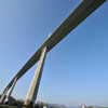 Millau Bridge