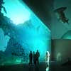 Batumi Aquarium design by Henning Larsen Architects