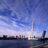 Erasmus Bridge