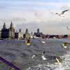 Building Tours Liverpool