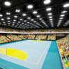 London Olympic Handball Arena