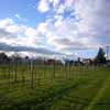 Buildings Martinborough