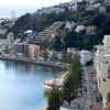 Buildings in Oriental Bay