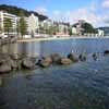 Oriental Bay Wellington