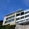 Buildings in Oriental Bay