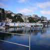 Buildings in Oriental Bay