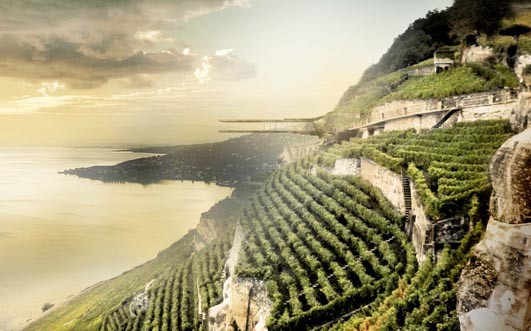 Wine Museum Building - Swiss Architecture