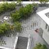 Keio University Roof Garden Tokyo design by Michel Desvigne Paysagiste